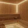 Bio-Sauna kaufen: Worauf es wirklich ankommt