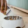 Die besten Anifit-Partnershops im Vergleich fuer Hunde- und Katzenfutter