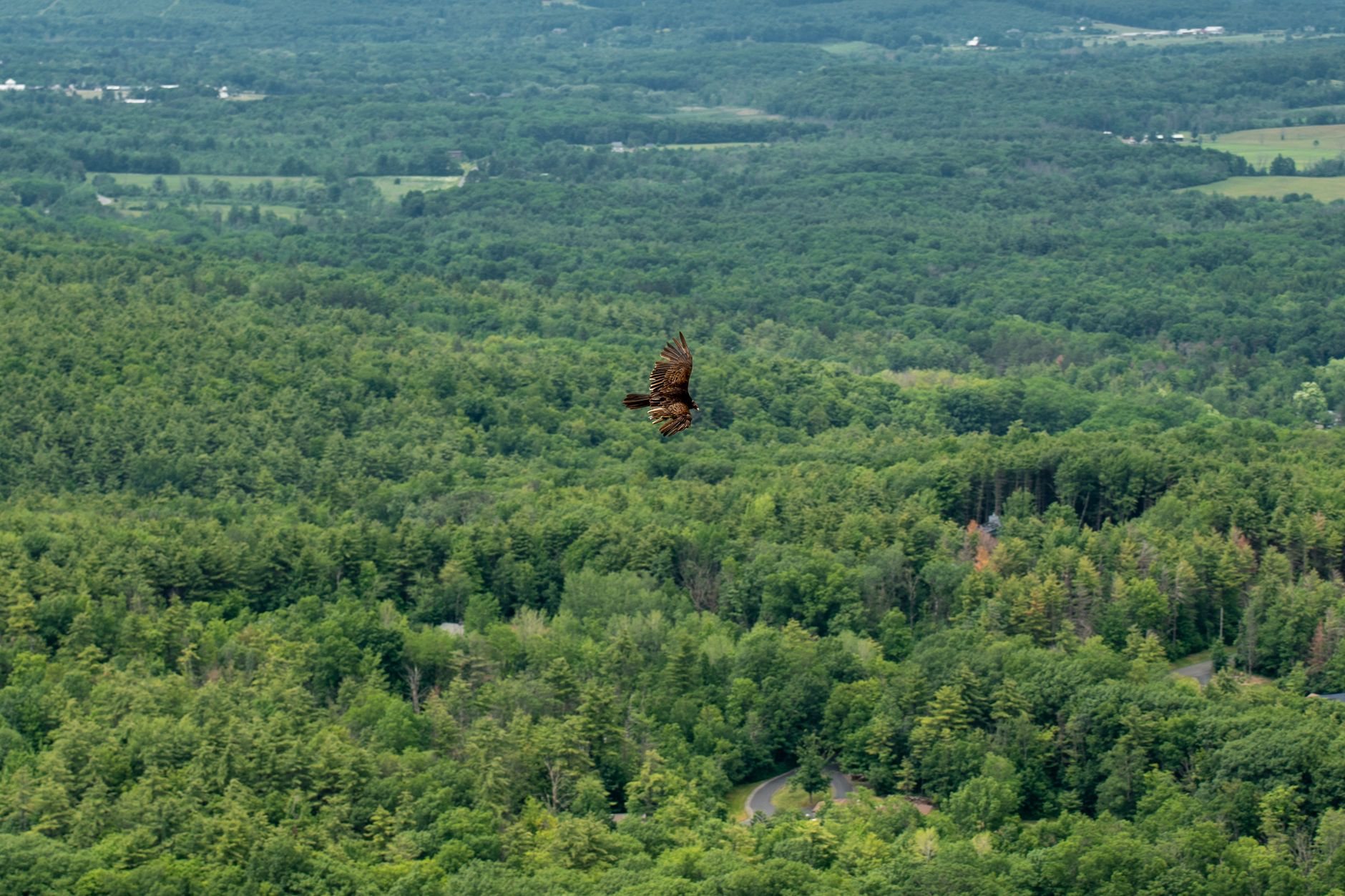 Pferdehaltung als Kapitalanlage: Reitbetriebe & Stallimmobilien