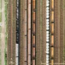 Transportaufträge wirtschaftlich planen